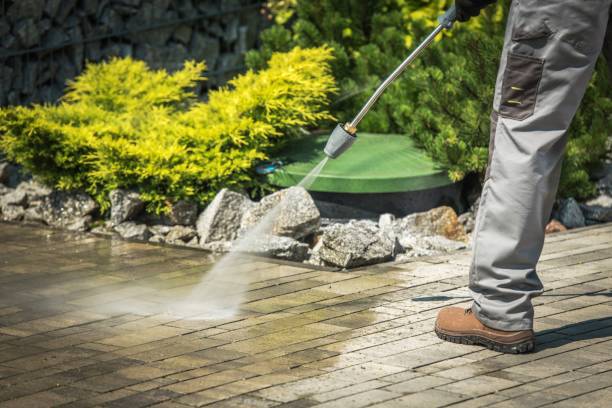 Best Pool Deck Cleaning  in , DE