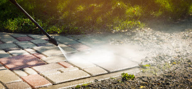 Best Sidewalk and Walkway Cleaning  in , DE